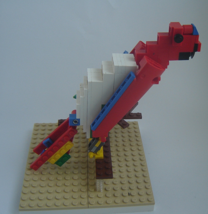 LEGO MOC - 16x16: Animals - Red-and-green Macaw: Вид с боку.