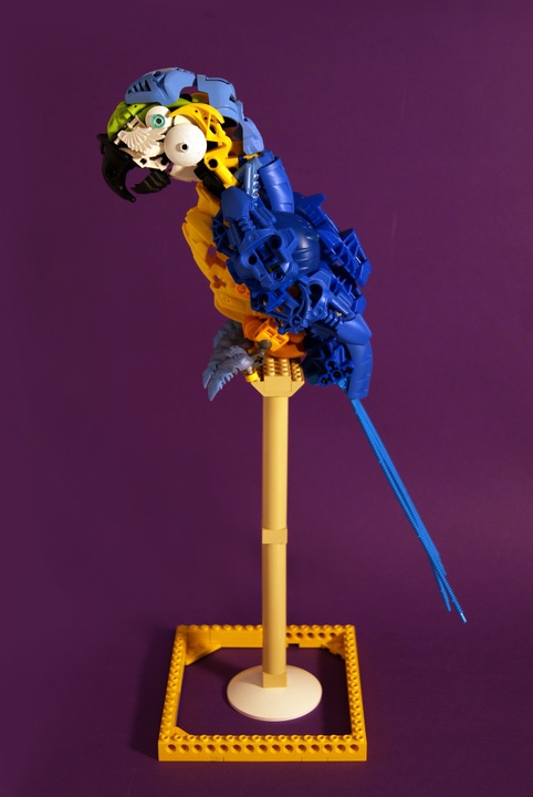 LEGO MOC - 16x16: Animals - Blue-and-yellow Macaw
