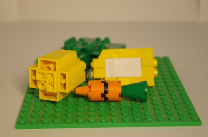 LEGO MOC - 16x16: Botany - Овощи на грядке: Передний план.