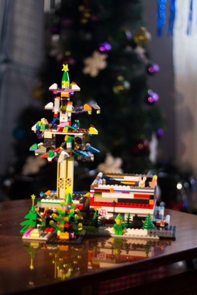 Дом и сад Деда Мороза