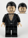 LEGO hp209 Fenrir Greyback, Black Hair