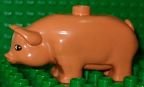 pig02