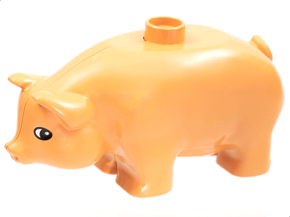 pig02pb01