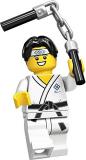 LEGO 71027-martialboy