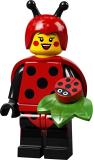 71029-ladybird