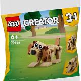 Set LEGO 30666