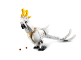 次主題