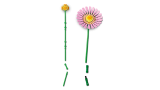 次主題