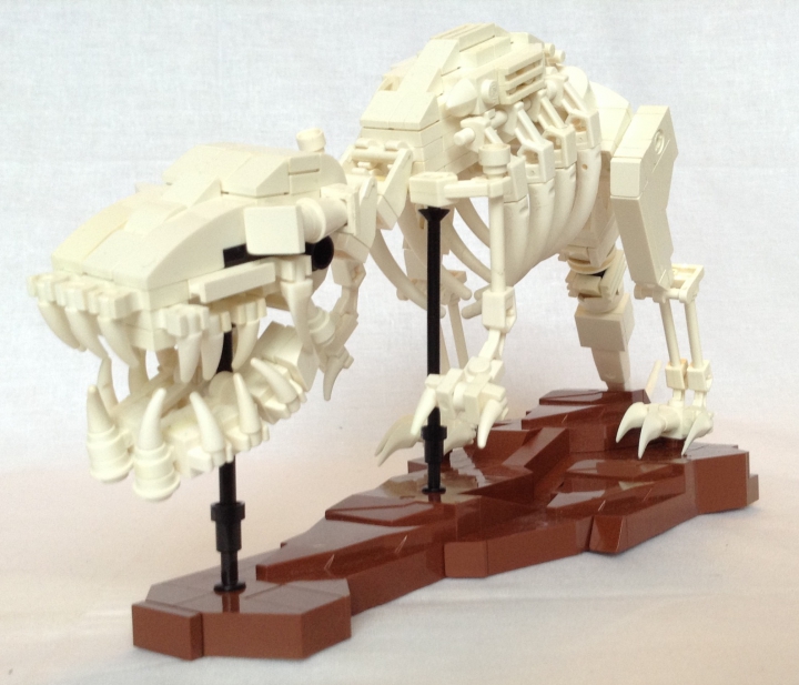 LEGO MOC - Jurassic World - A new exhibit in the city museum: Tyrannosaurus could move quite fast to hunt successfully large hadrosaurs and ceratopsians. Tyrannosaurus could wrest a piece of meat weighing 70kg from the victim`s body for one bite.
