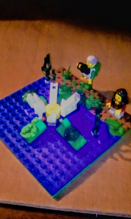 LEGO MOC - 16x16: Botany - Кувшинка: Однажды с девочкой пришёл её ПАПА. Он сделал пару фоток и… 