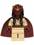 LEGO sw421 Agen Kolar