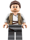 LEGO sw888 Rey (75200)