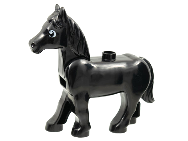 horse02c01pb06