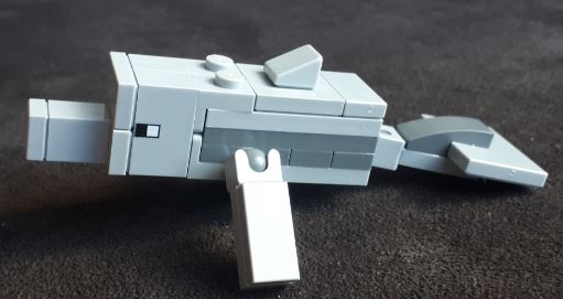 minedolphin01