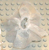 scl008
