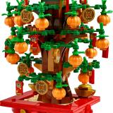 Set LEGO 40648